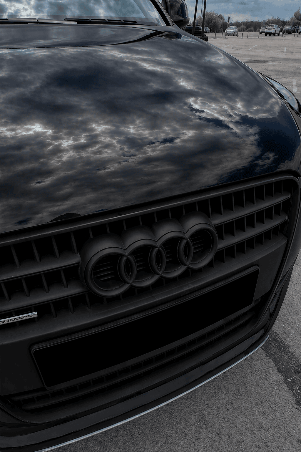 Grille & Trim